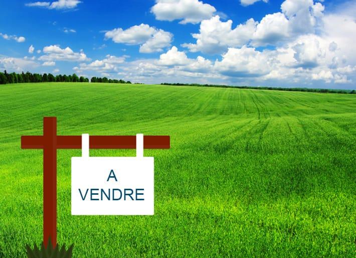 Terrain Agricole à Vendre à Kef Sidi Youssef !