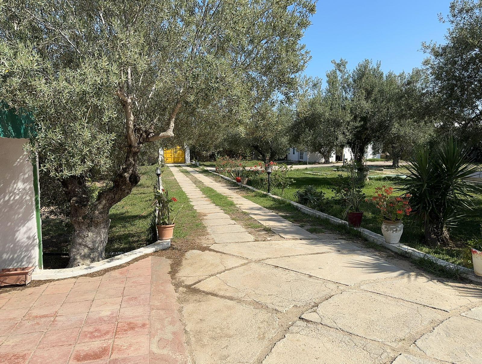 À Vendre – Grand Terrain avec 3 Maisons et Piscine à Bir Bouregba, Hammamet