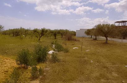 Un terrain exceptionnellement bien situé à Hammamet Sud, Yasmine Hammamet, près de la plage