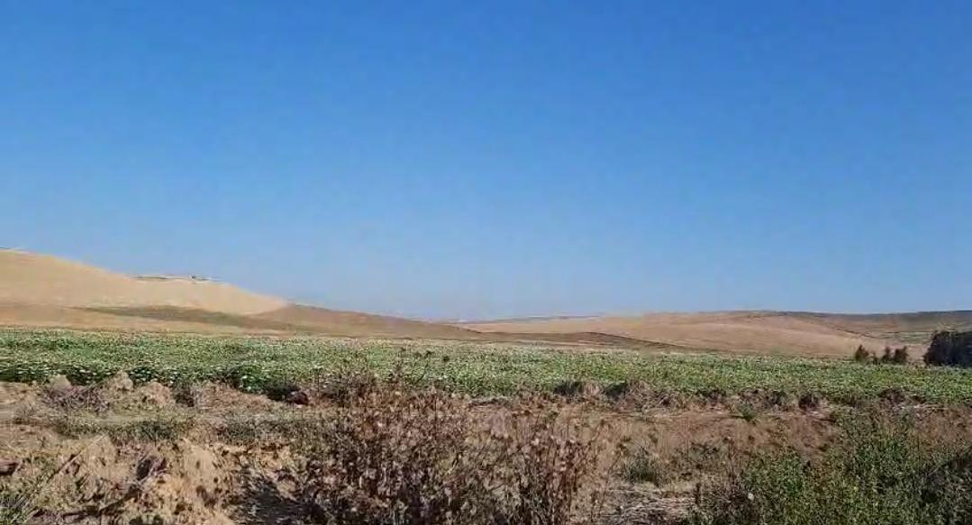 Un terrain à vendre, situé à Sidi Thabet, Kantaret Bizerte, en 1er rang sur la rue principale