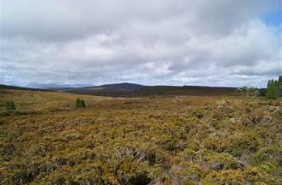 À Vendre : Terrain à Chotrana 2, La Soukra - Idéalement Situé sur Route Principale