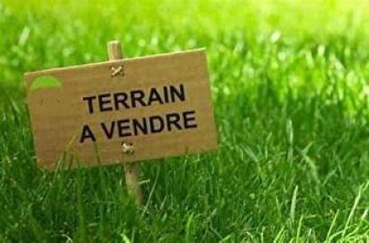 À Vendre – Deux Lots de Terrain à Hammamet Sud