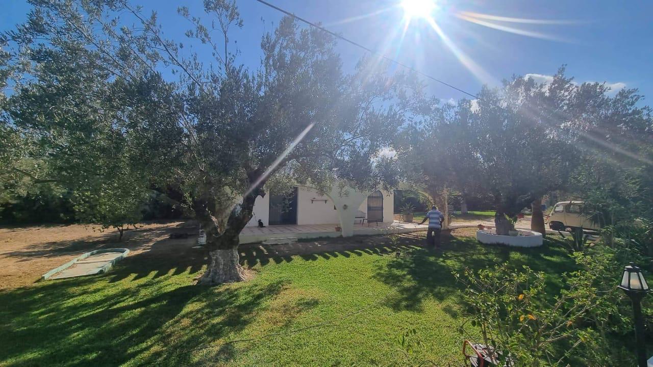 À Vendre – Grand Terrain avec 3 Maisons et Piscine à Bir Bouregba, Hammamet