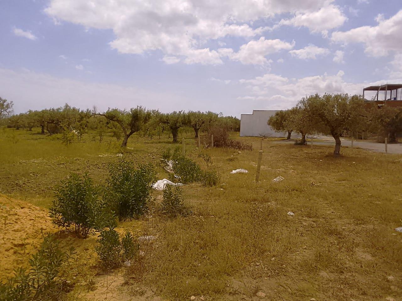 Un terrain exceptionnellement bien situé à Hammamet Sud, Yasmine Hammamet, près de la plage