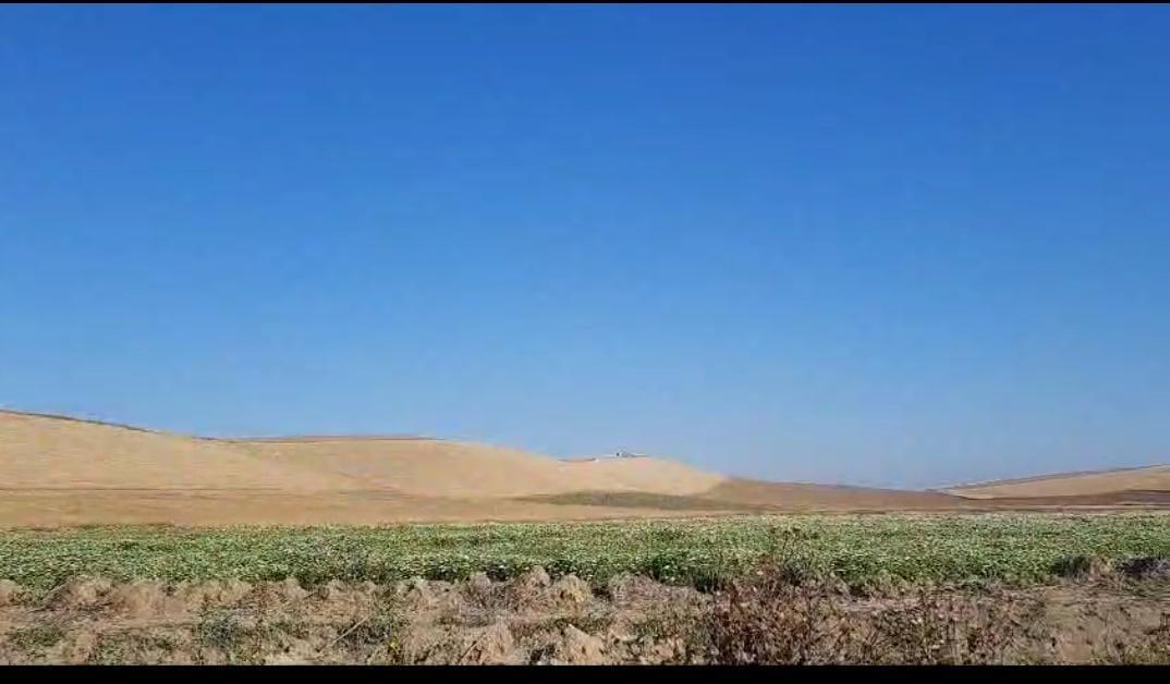 Un terrain à vendre, situé à Sidi Thabet, Kantaret Bizerte, en 1er rang sur la rue principale