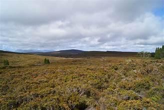 À Vendre : Terrain à Chotrana 2, La Soukra - Idéalement Situé sur Route Principale